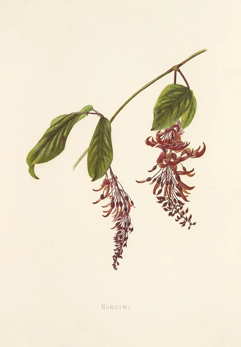 Nukuiwi Wall Art by Isabella McHutcheson Sinclair - High-Resolution Digital Print