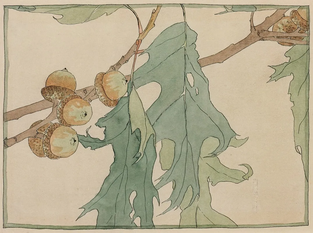 Oak And Acorns