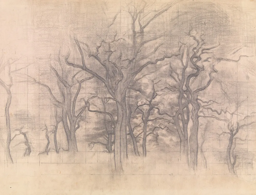 Oak Trees
