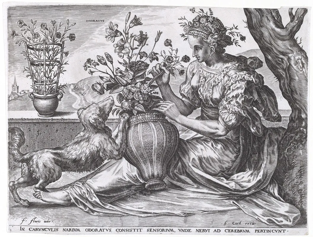 Odoratus