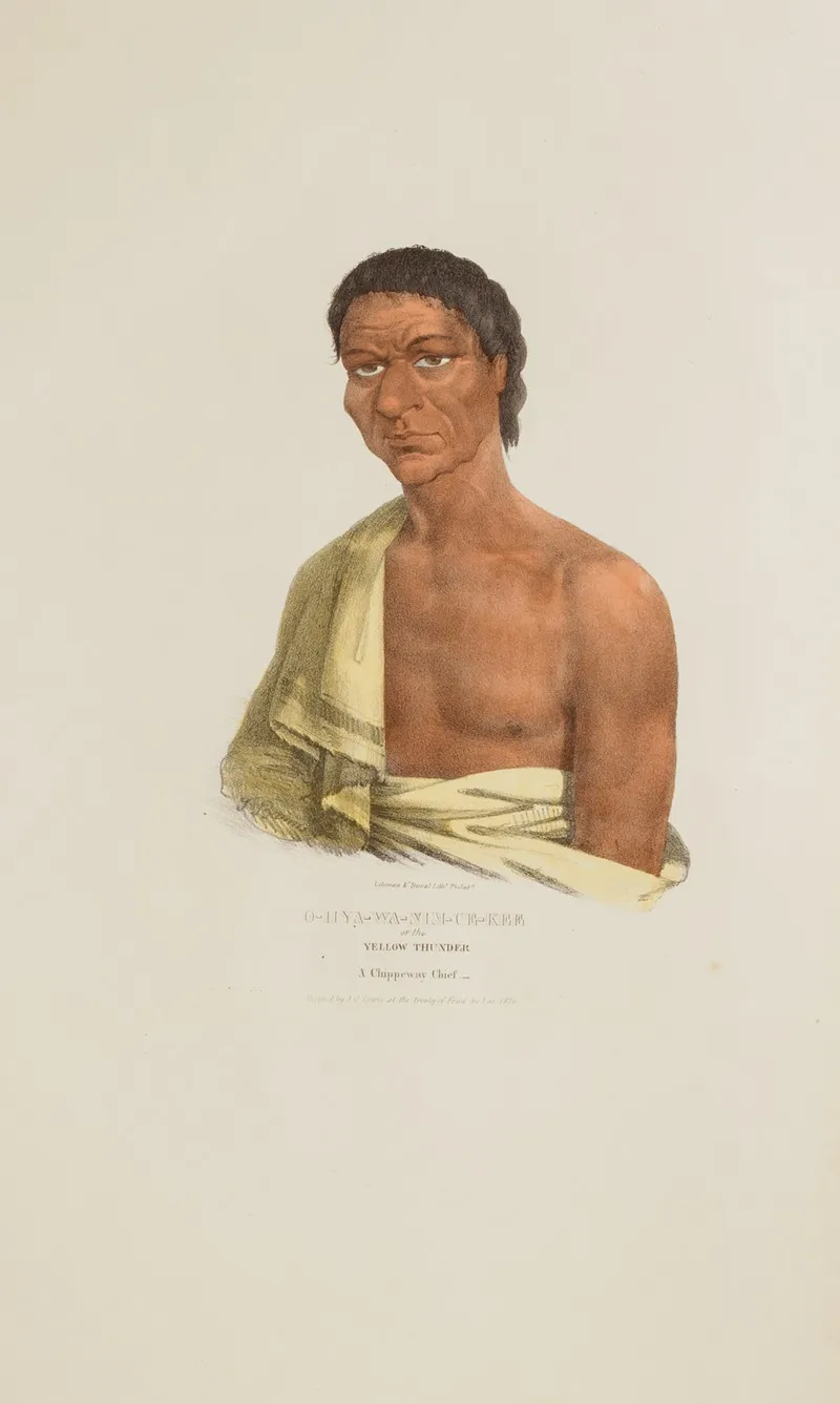 O‑hya Wa Nim Ce Kee Or The Yellow Thunder A Chippeway Chief