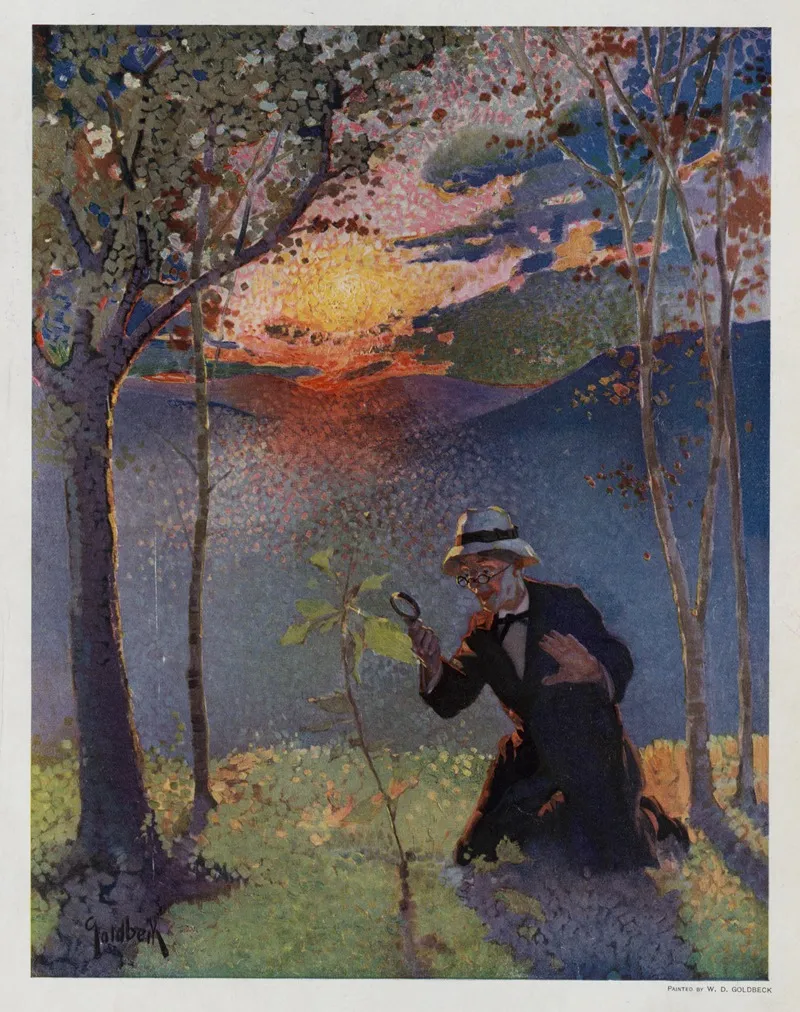 Oh What A Beautiful Bug Wall Art by Walter Dean Goldbeck - High-Resolution Digital Print