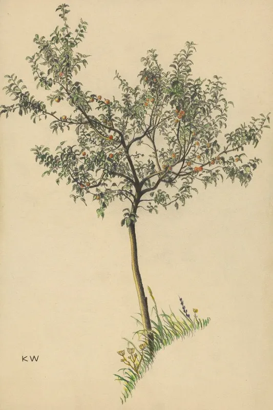Ohne Titel Obstbaum Wall Art by Karl Wiener - High-Resolution Digital Print