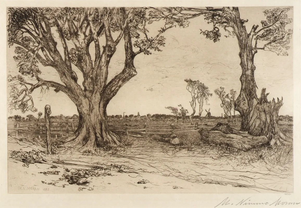 Old Lindens Near Easthampton