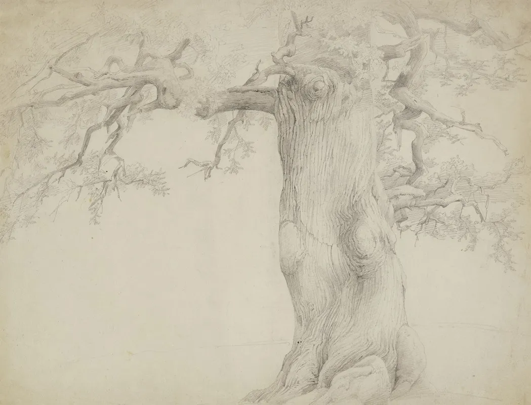 Old Tree