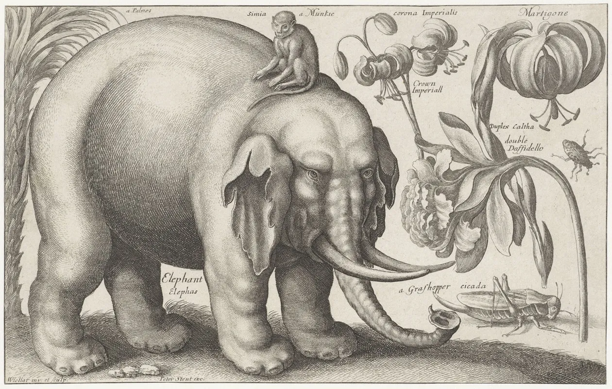 Olifant Aap Bloemen En Insecten