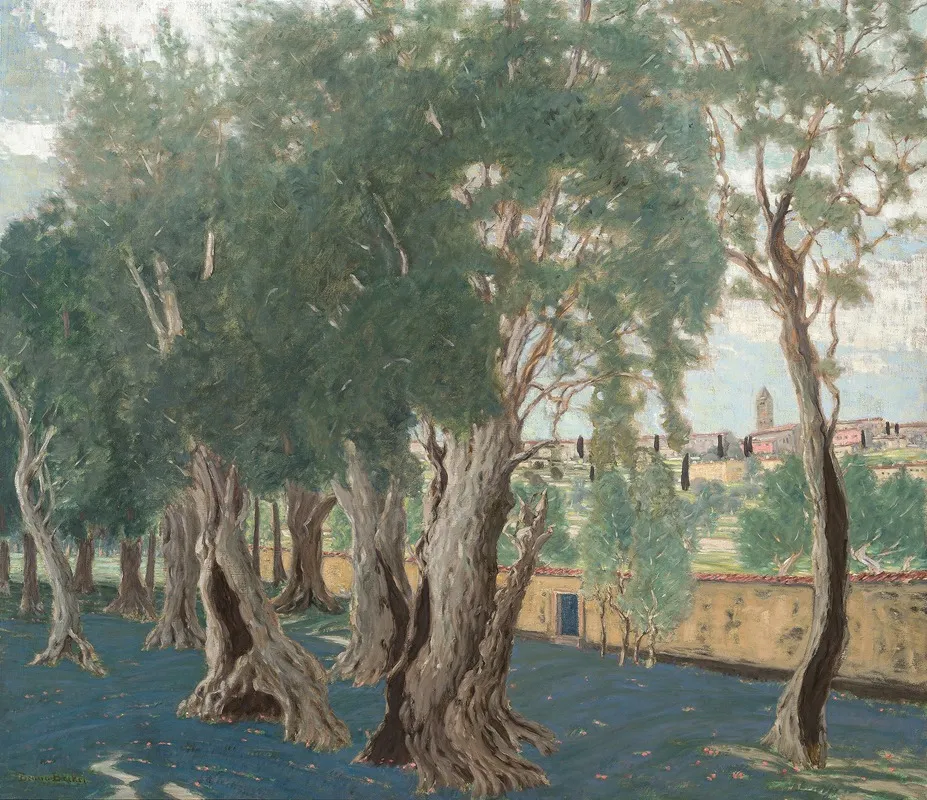 Olive Grove 2