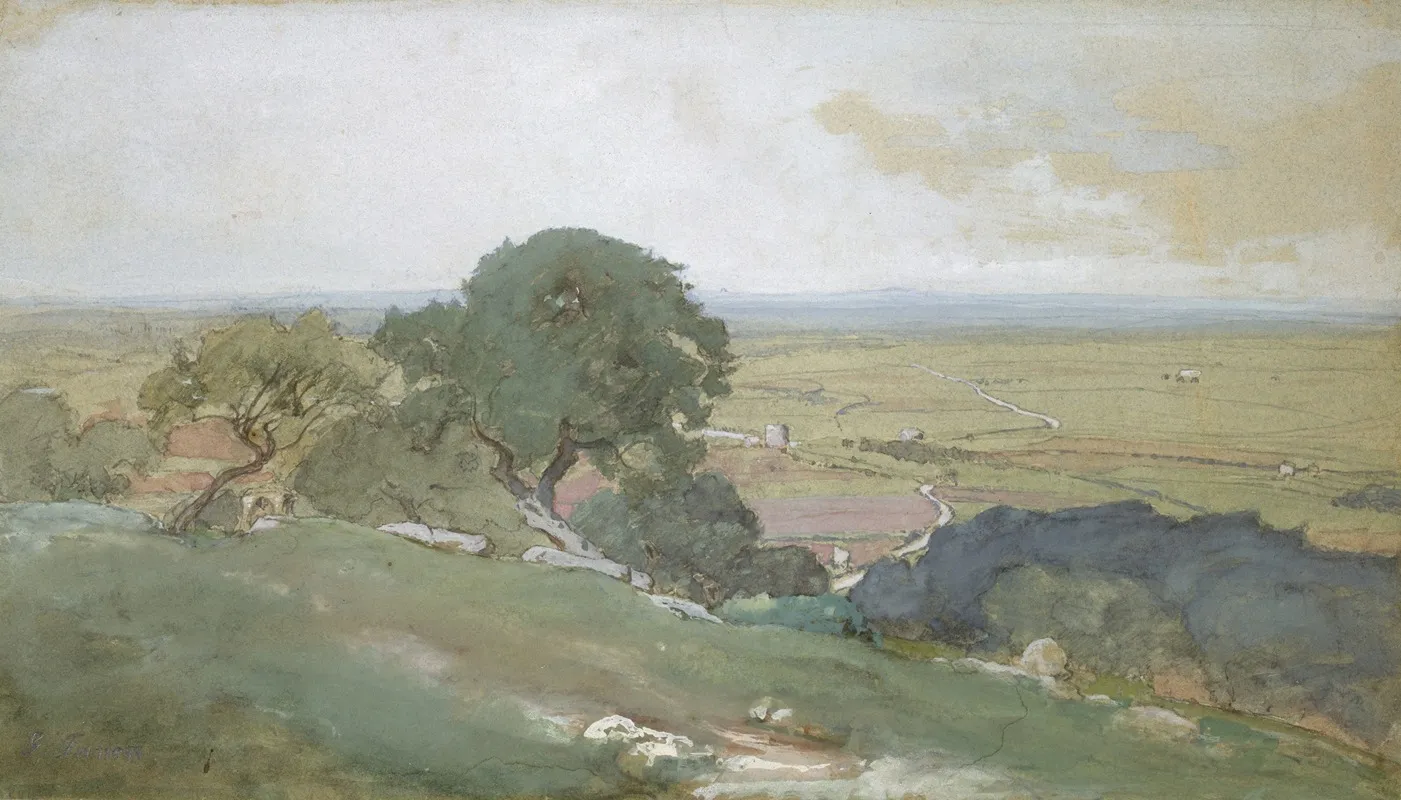 Olive Trees At Tivoli