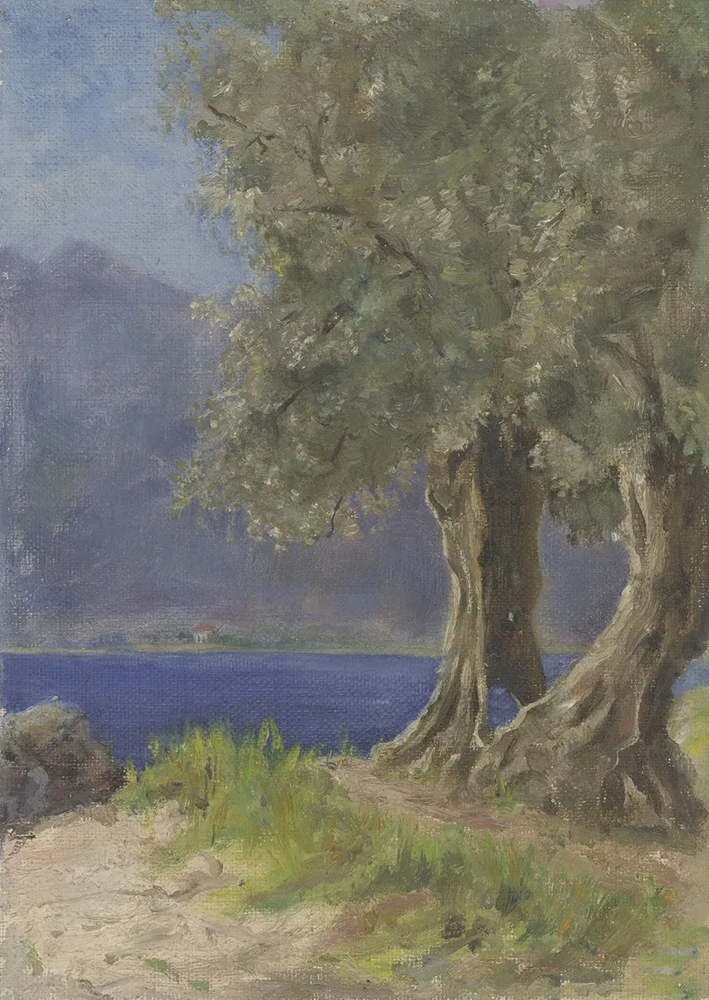 Olivenbaumgruppe An Einem Italienischen See