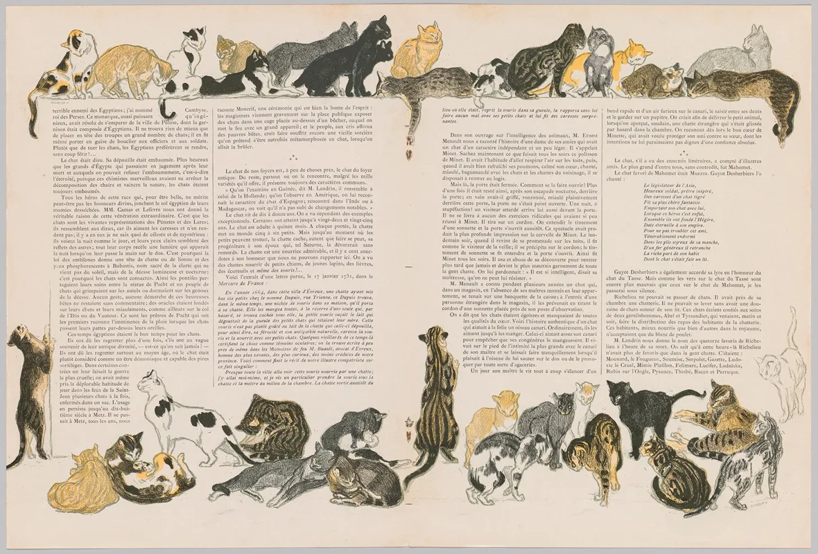 On Cats By Jacques Dalbray