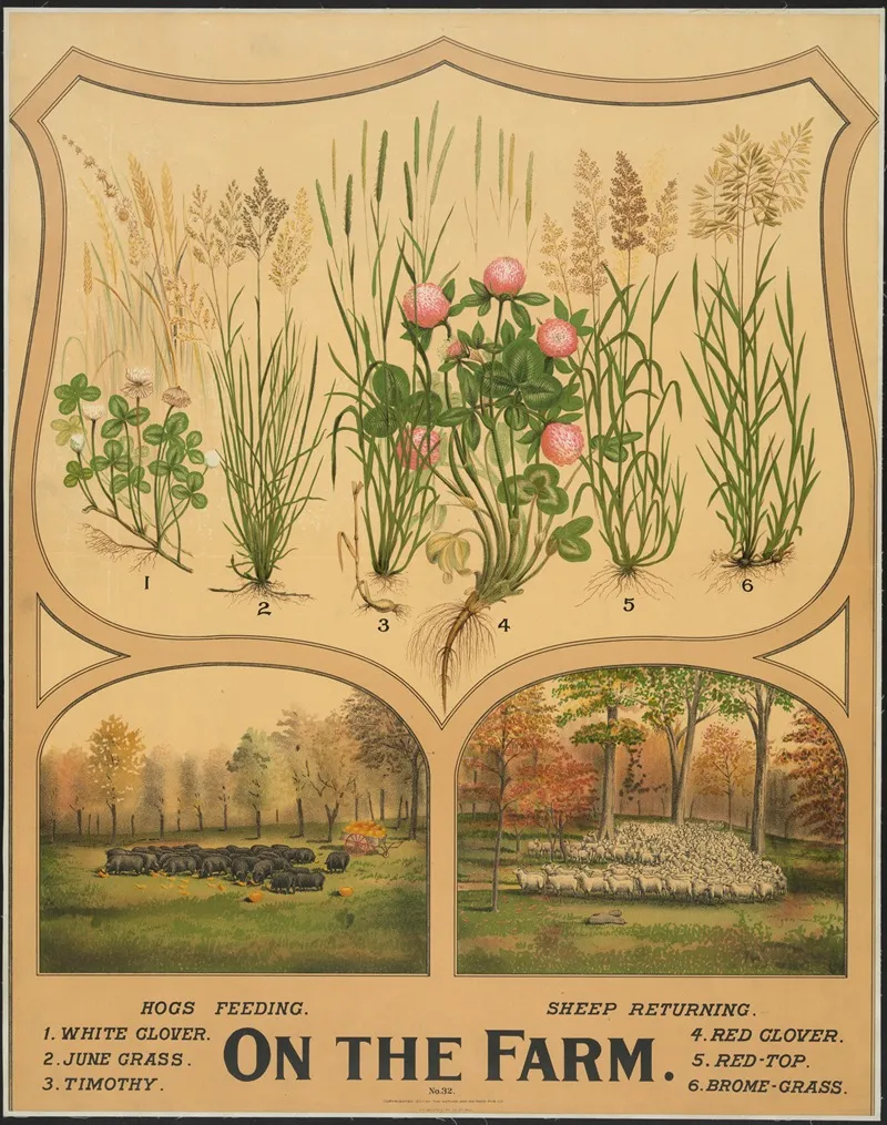 On The Farm 3 Wall Art by H.M. Smyth Lith. Co. - High-Resolution Digital Print