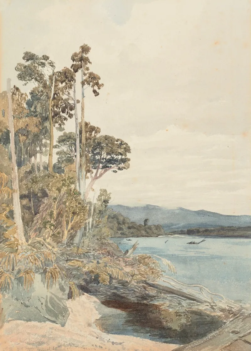 On The North East Bank Of The Buller