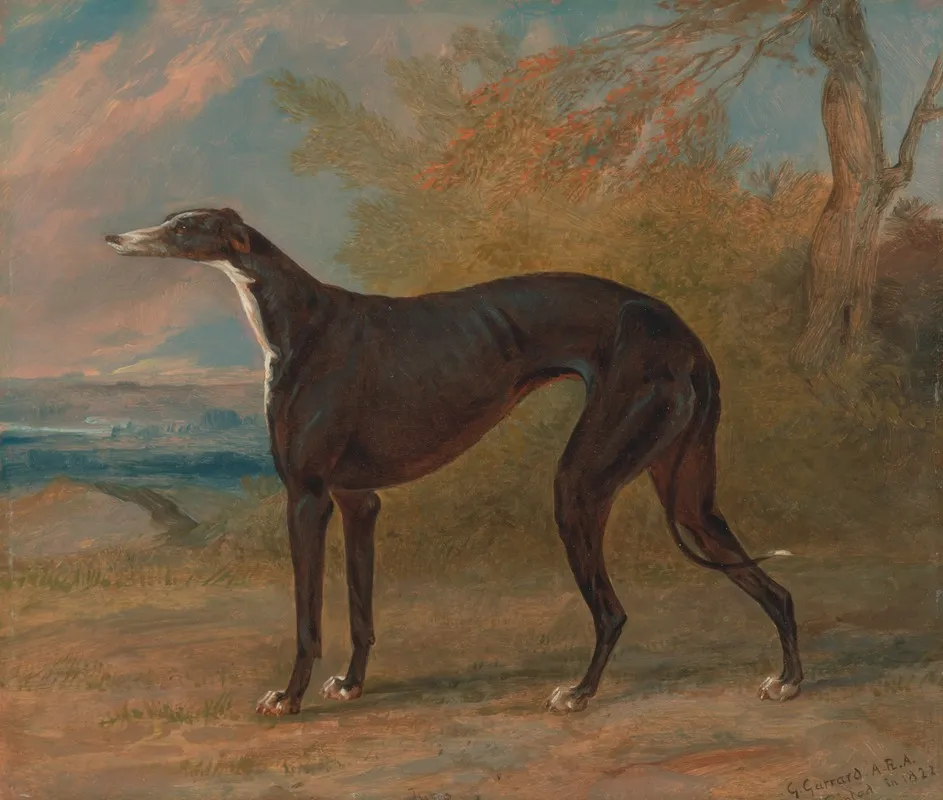 One Of George Lane Foxs Winning Greyhounds The Black And White Greyhound Bitch Juno Also Called Elizabeth Wall Art by George Garrard - High-Resolution Digital Print