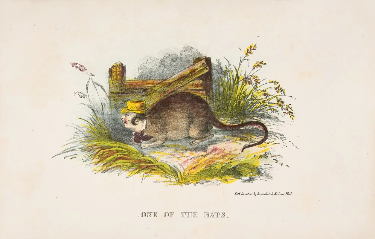 One Of The Rats
