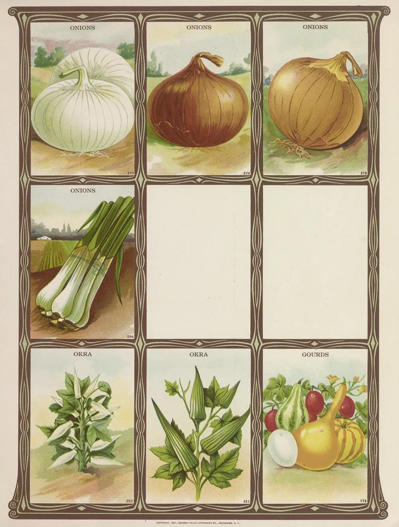 Onions Okra Gourds Wall Art by Genesee Valley Lithograph Co. - High-Resolution Digital Print