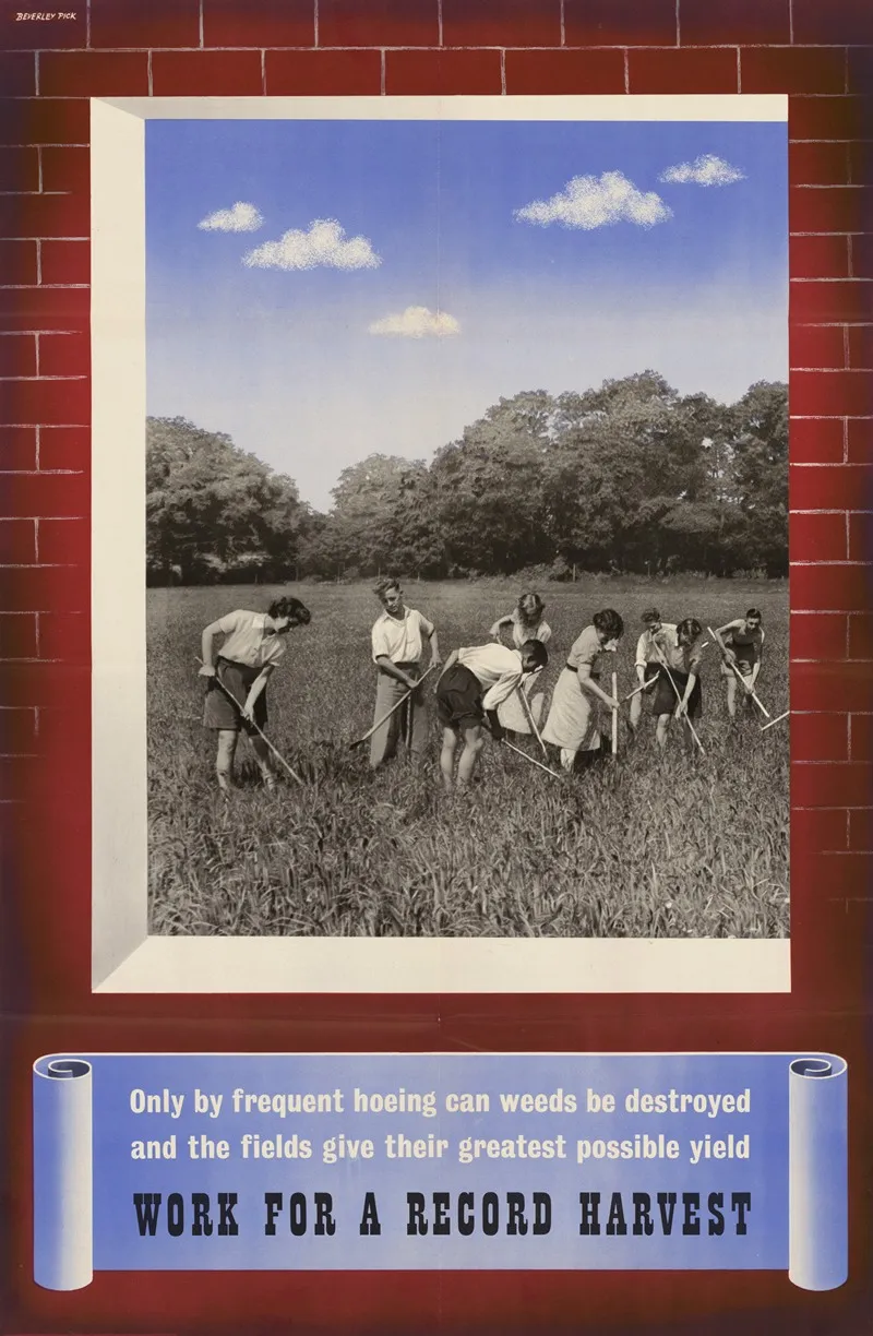 Only By Frequent Hoeing Can Weeds Be Destroyed And The Fields Give Their Greatest Possible Yield Work For A Record Harvest Wall Art by Beverly Pick - High-Resolution Digital Print