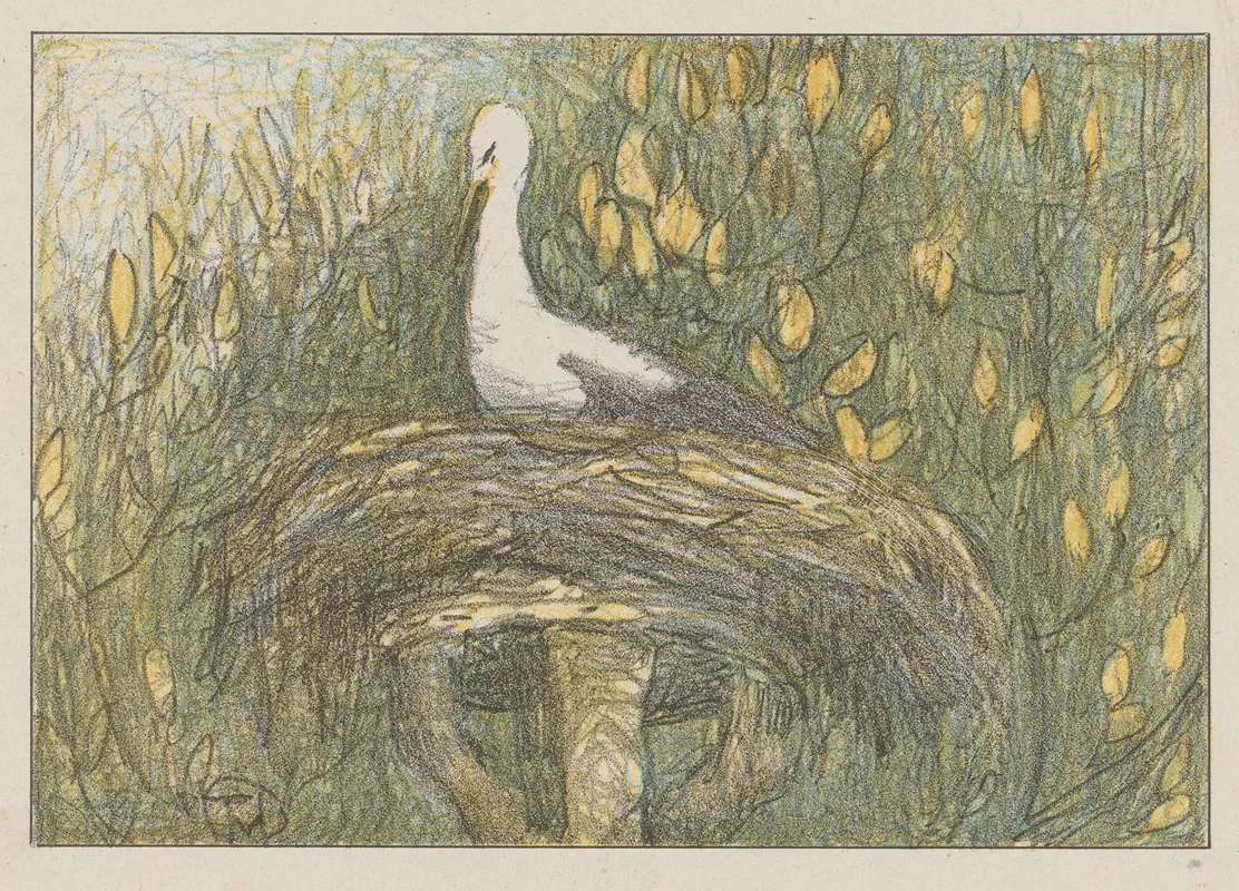 Ooievaar In Nest