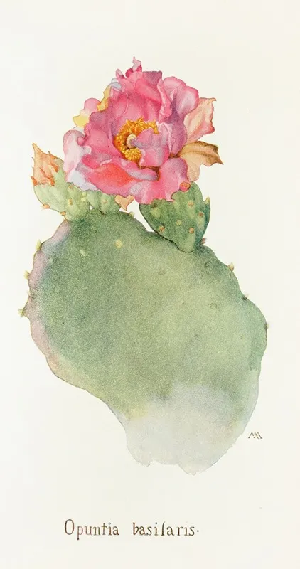 Opuntia Basilaris Wall Art by Margaret Armstrong - High-Resolution Digital Print