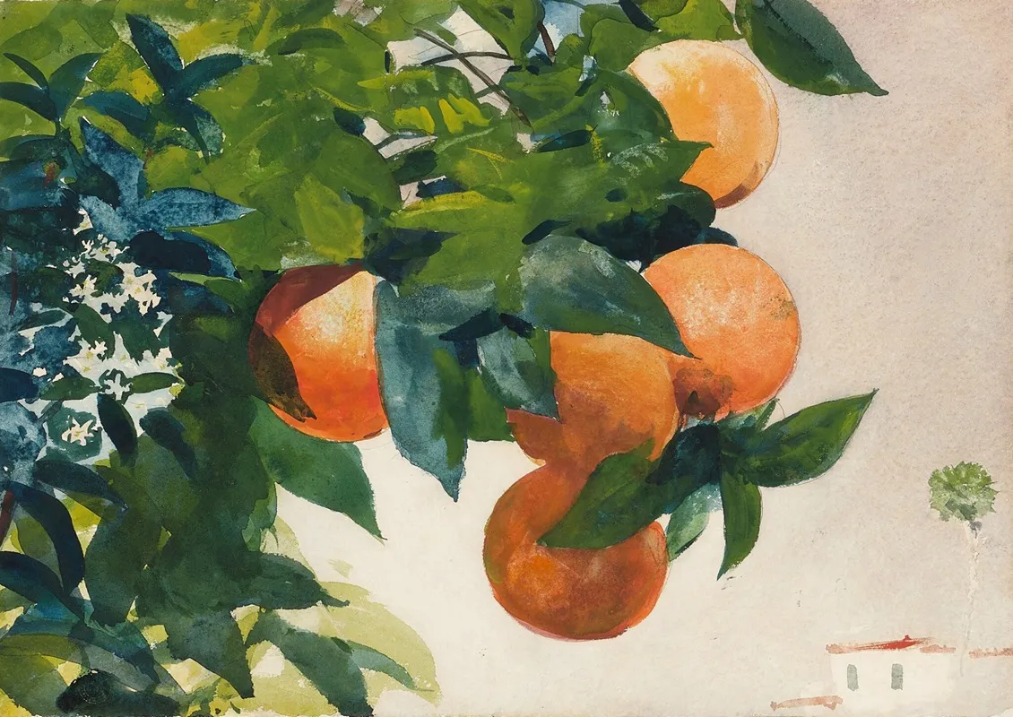 Oranges On A Branch Wall Art by Winslow Homer - High-Resolution Digital Print