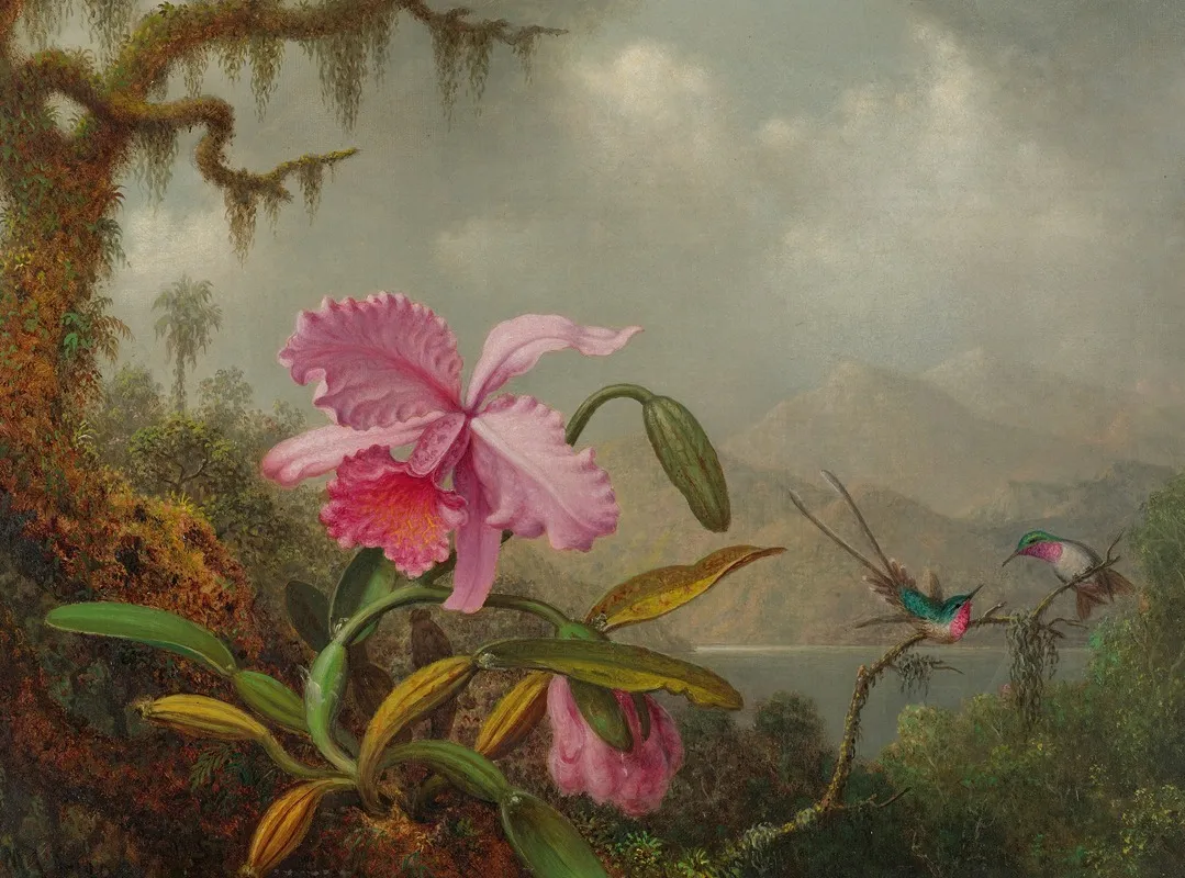 Orchids And Hummingbirds