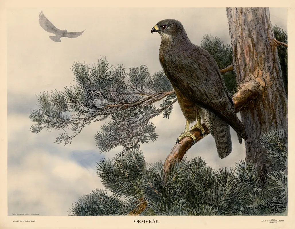 Ormvrak Wall Art by Nils Tirén - High-Resolution Digital Print