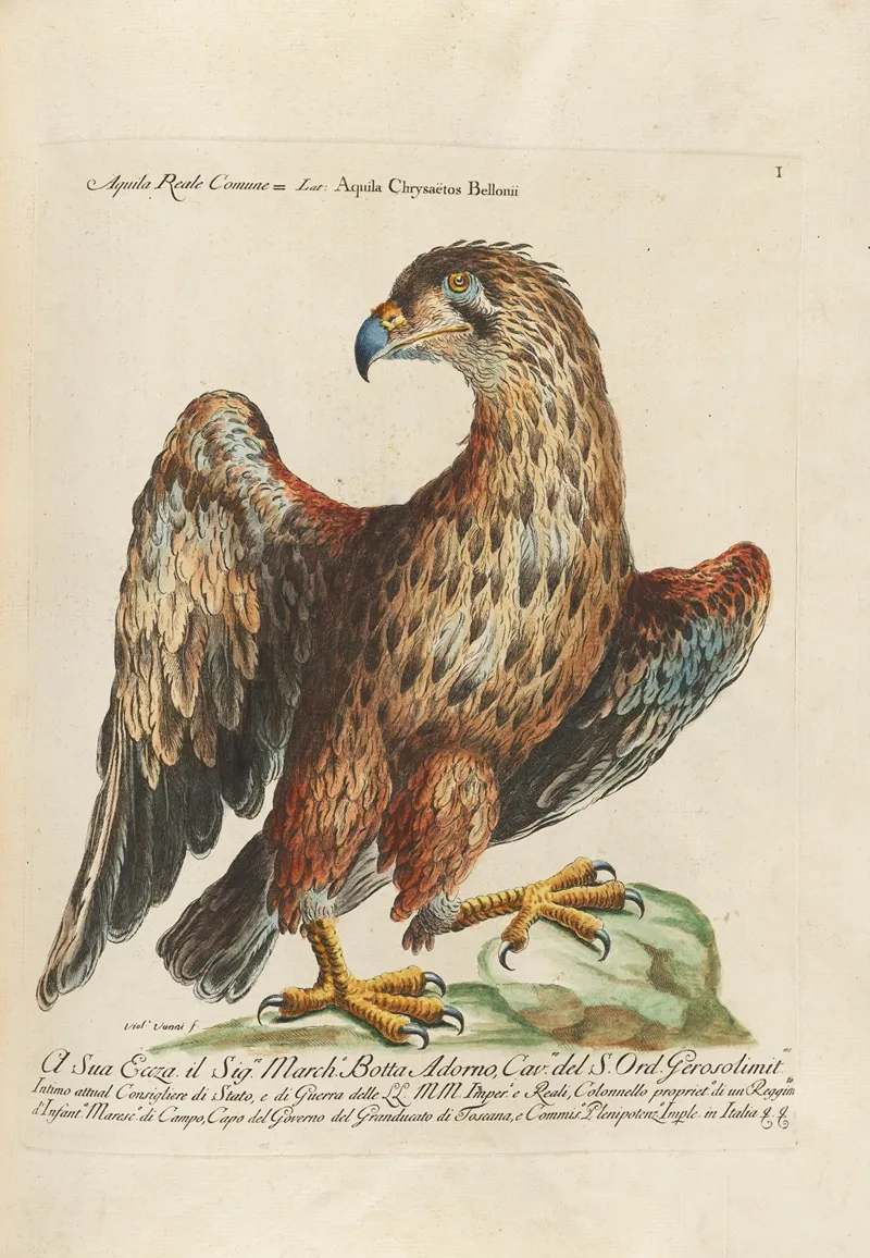 Ornithologia Methodice Digesta Pl 001 Wall Art by Saverio Manetti - High-Resolution Digital Print