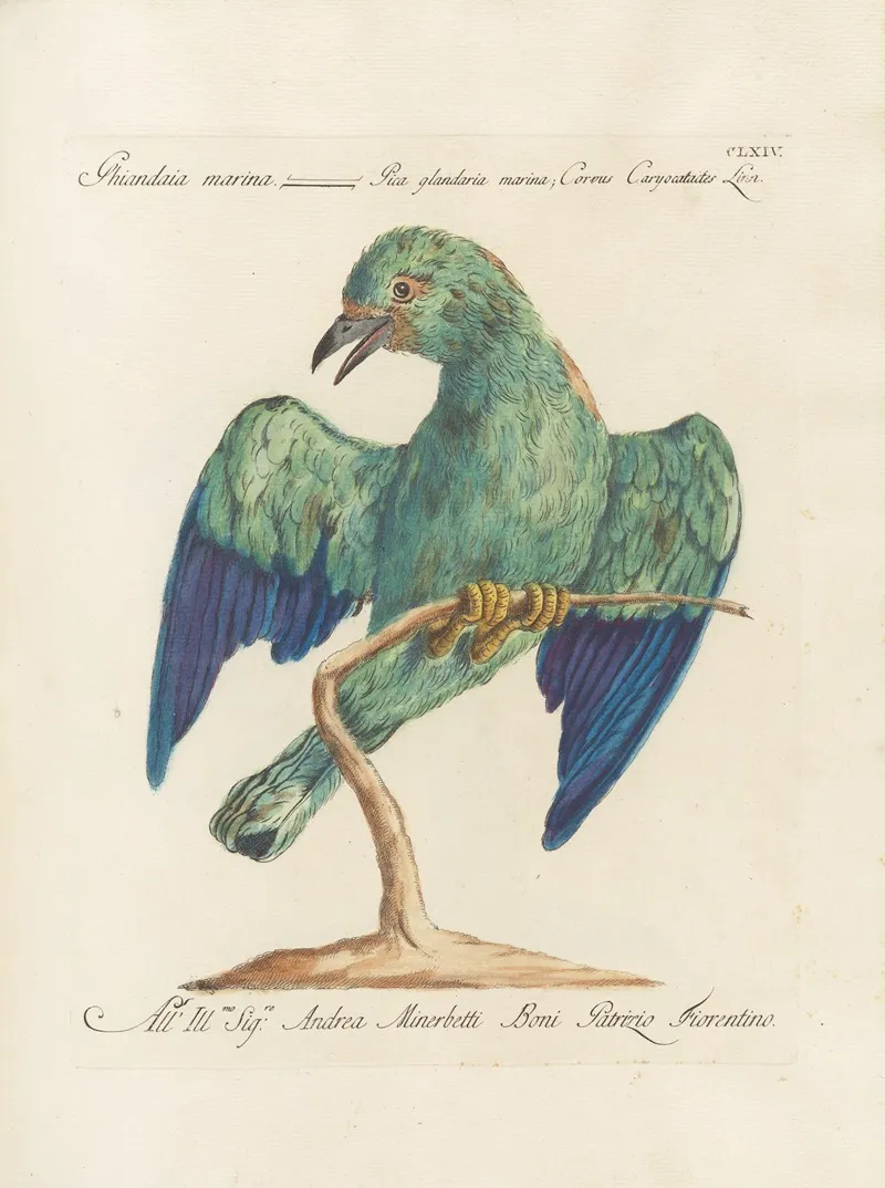 Ornithologia Methodice Digesta Pl 159 Wall Art by Saverio Manetti - High-Resolution Digital Print