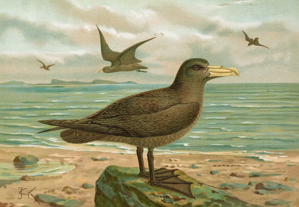 Ossifraga Gigantea Gmel Riesen Sturmvogel Wall Art by Johann Friedrich Naumann - High-Resolution Digital Print