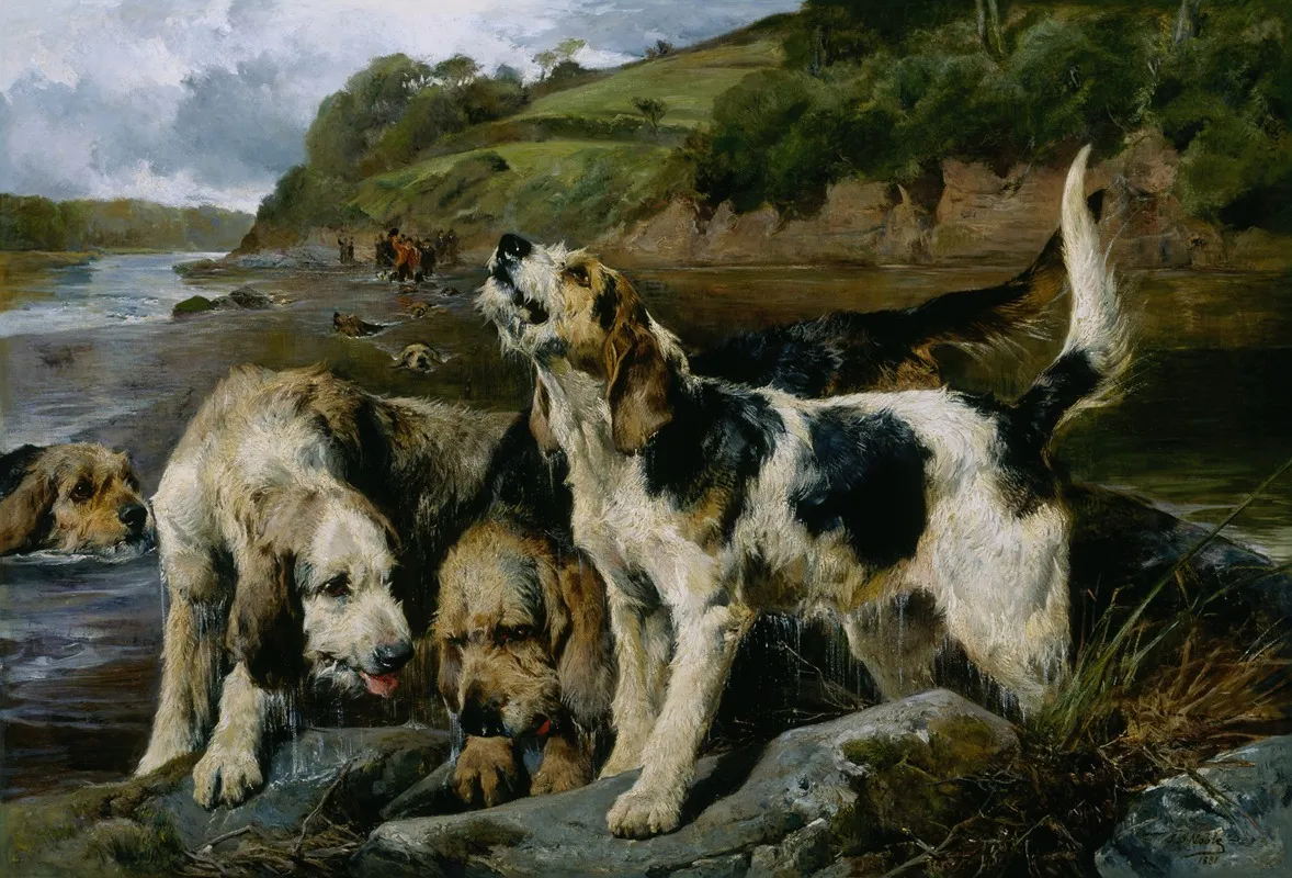 Otter Hunting On The Scent