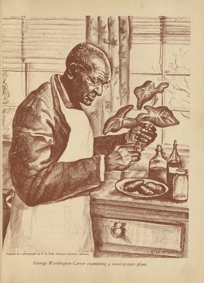 Our Negro Brother Pl 07 Wall Art by Else McKean - High-Resolution Digital Print