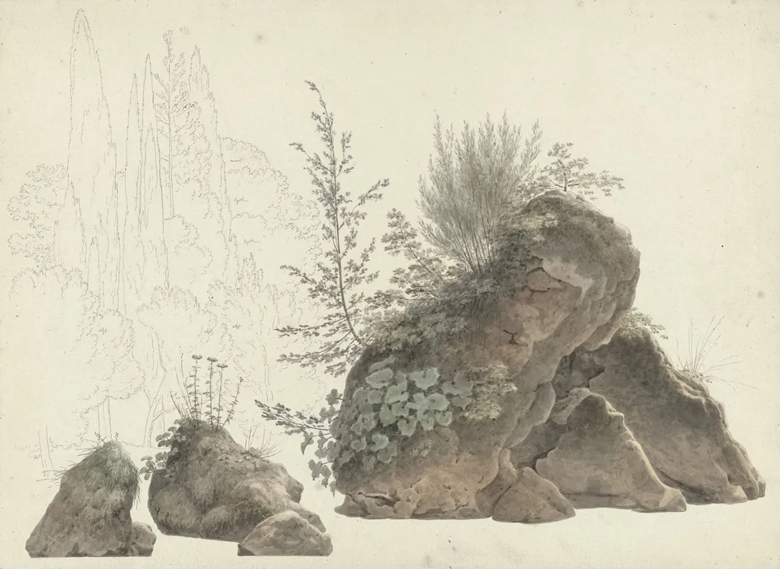 Overgrown Rocks