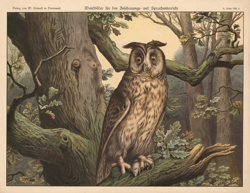Owl 5 Wall Art by W. Crüwell - High-Resolution Digital Print