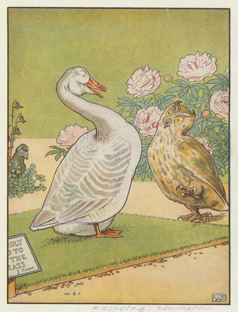 Owl And Goose Talking