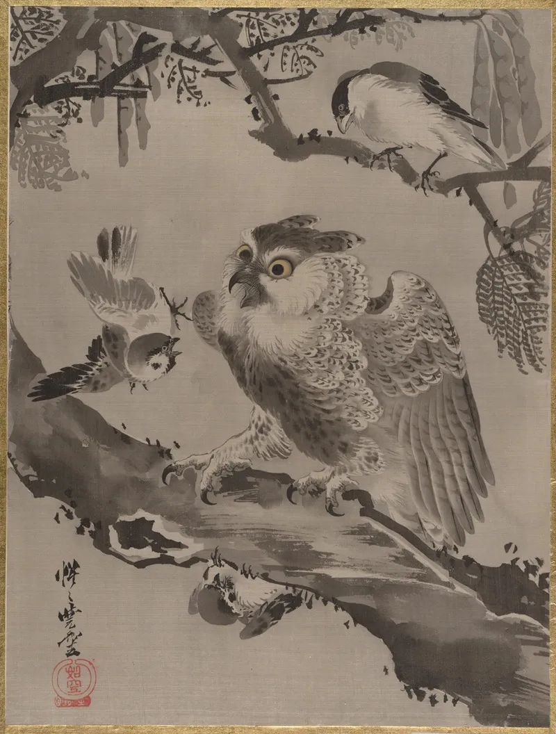 Owl Mocked By Small Birds