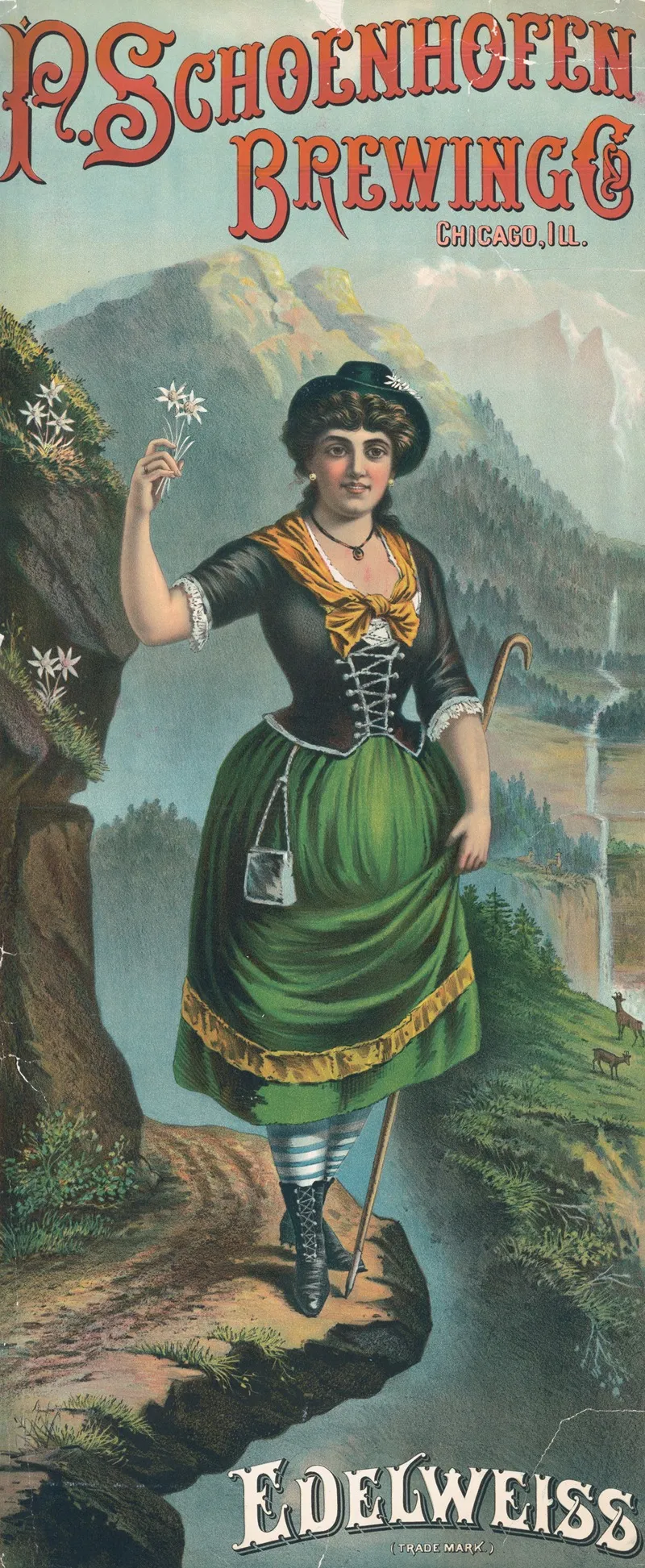P Schoenhofen Brewing Co Chicago Ill Edelweiss Wall Art by Henry Jerome Schile - High-Resolution Digital Print