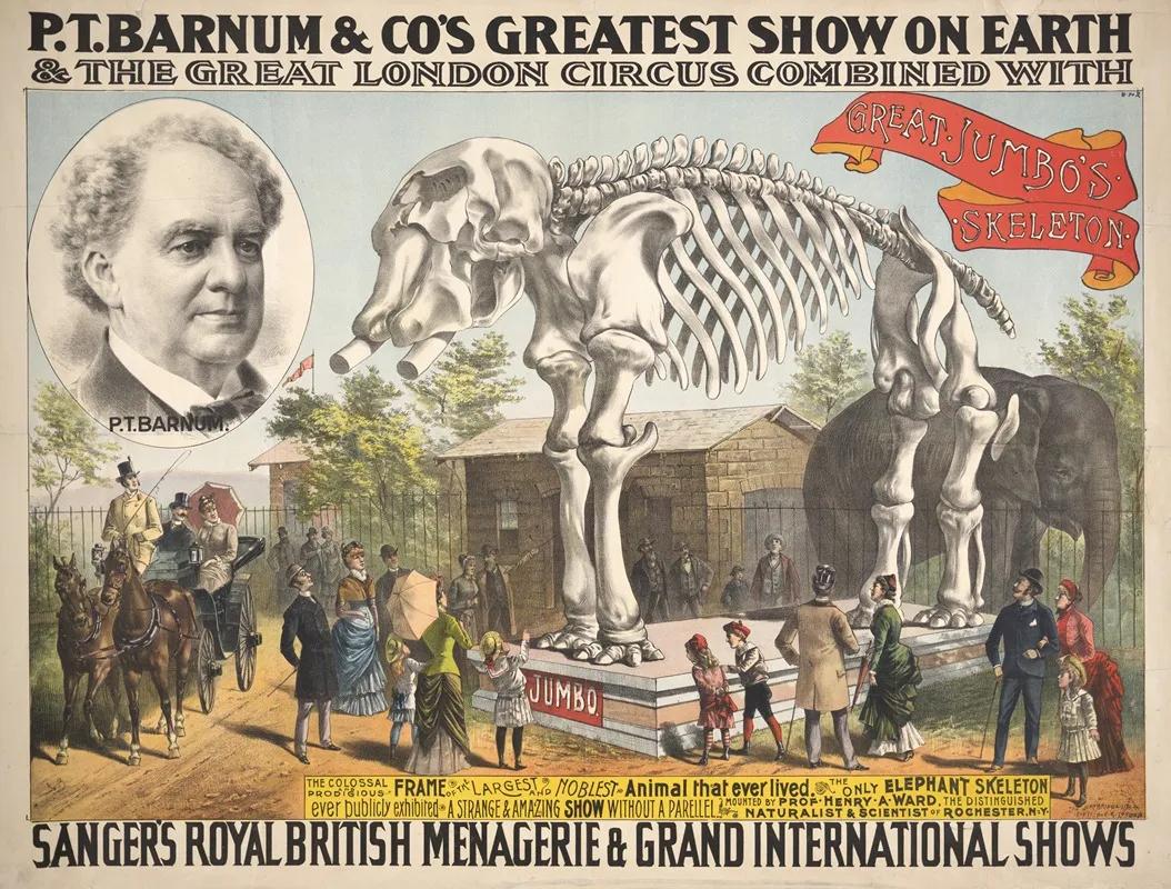 P T Barnum Co S Greatest Show On Earth The Great London Circus Combined With Sangers Royal British Menagerie Grand International Shows
