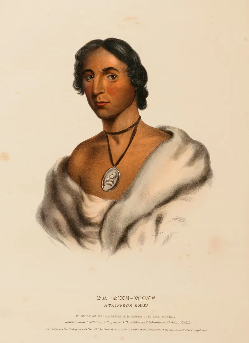 Pa She Nine A Chippewa Chief