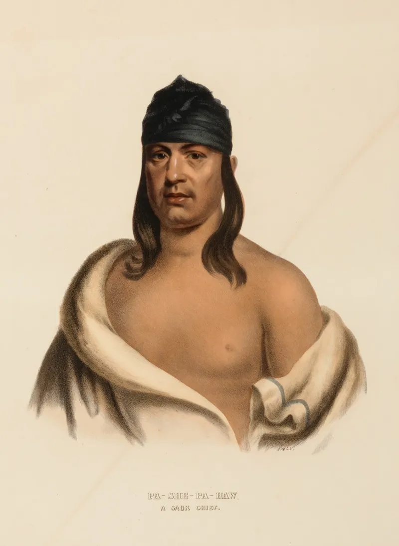 Pa She Pa Haw A Sauk Chief