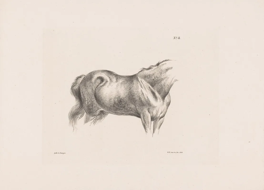 Paardenromp Wall Art by Pieter Frederik van Os - High-Resolution Digital Print