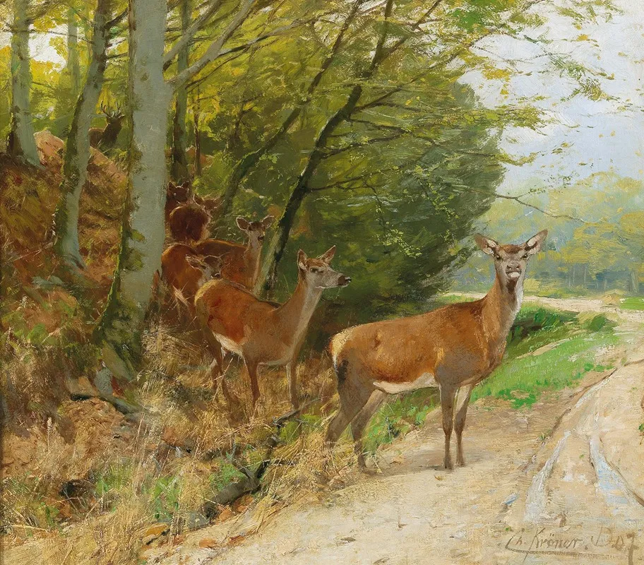 Pack Of Red Deer Crossing A Track