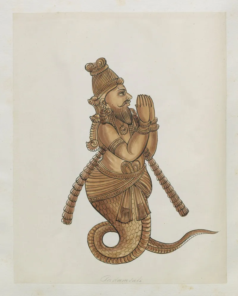 Illustration