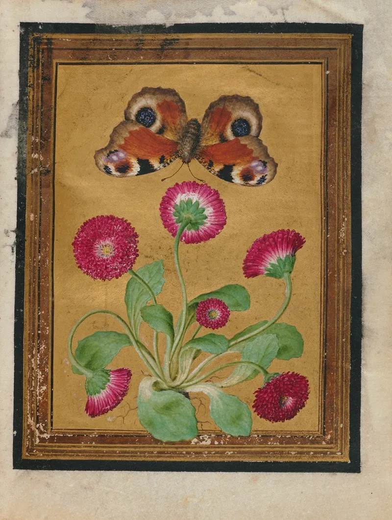 Paintings Of Flowers Butterflies And Insects Pl 1 Wall Art by Jacques Le Moyne de Morgues - High-Resolution Digital Print