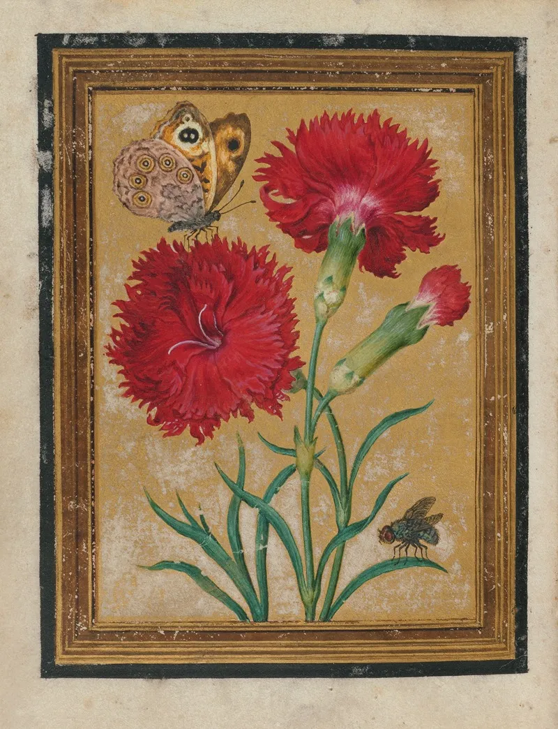 Paintings Of Flowers Butterflies And Insects Pl 4 Wall Art by Jacques Le Moyne de Morgues - High-Resolution Digital Print