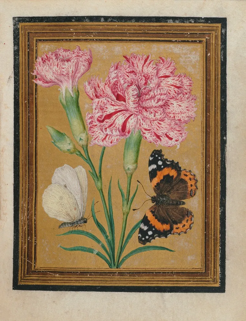Paintings Of Flowers Butterflies And Insects Pl 5 Wall Art by Jacques Le Moyne de Morgues - High-Resolution Digital Print