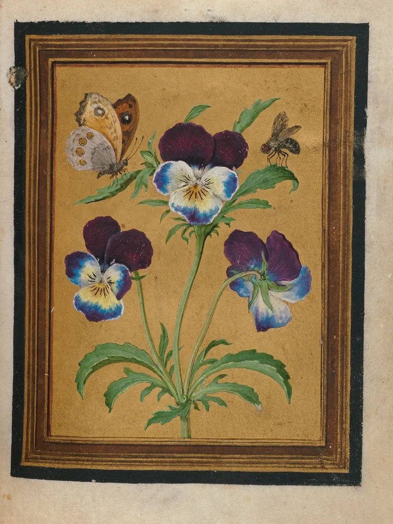 Paintings Of Flowers Butterflies And Insects Pl 7 Wall Art by Jacques Le Moyne de Morgues - High-Resolution Digital Print