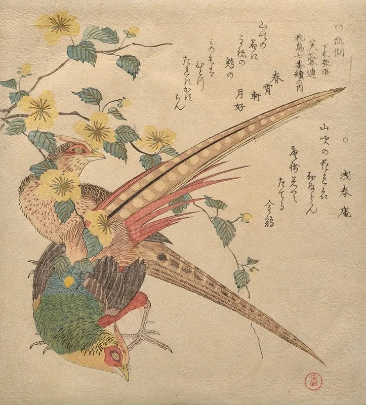 Pair Of Chinese Pheasants And A Branch Of Yamabuki Flowers