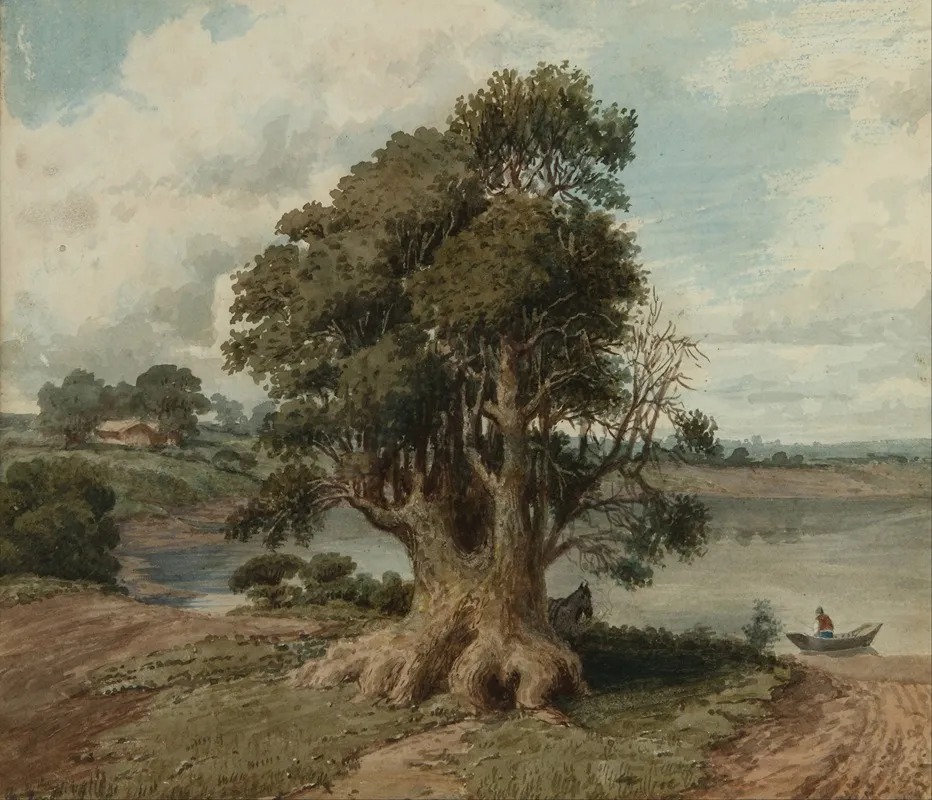 Paisaje De La Costa San Isidro 2