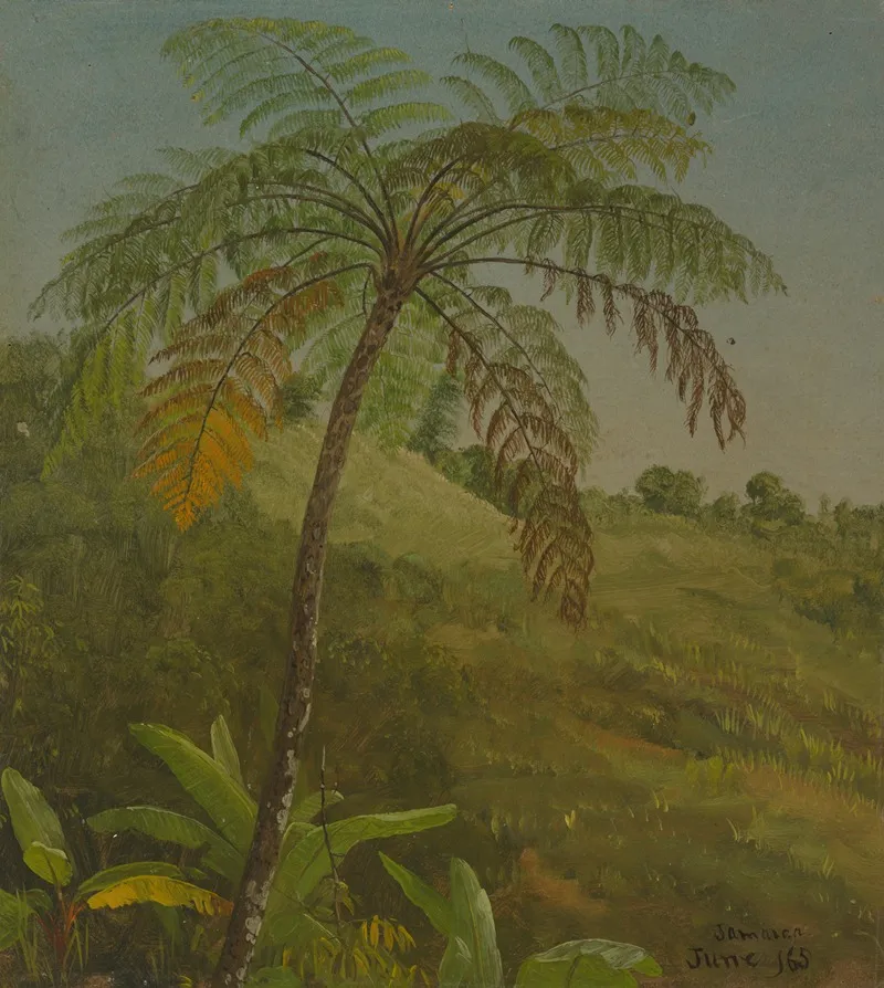 Palm Tree Jamaica Wall Art by Frederic Edwin Church - High-Resolution Digital Print