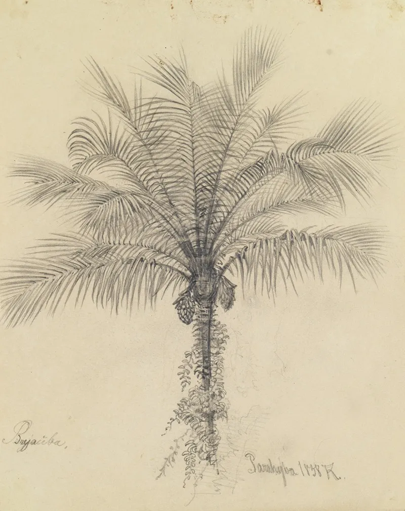 Palmstudie Ii Wall Art by Ferdinand Keller - High-Resolution Digital Print