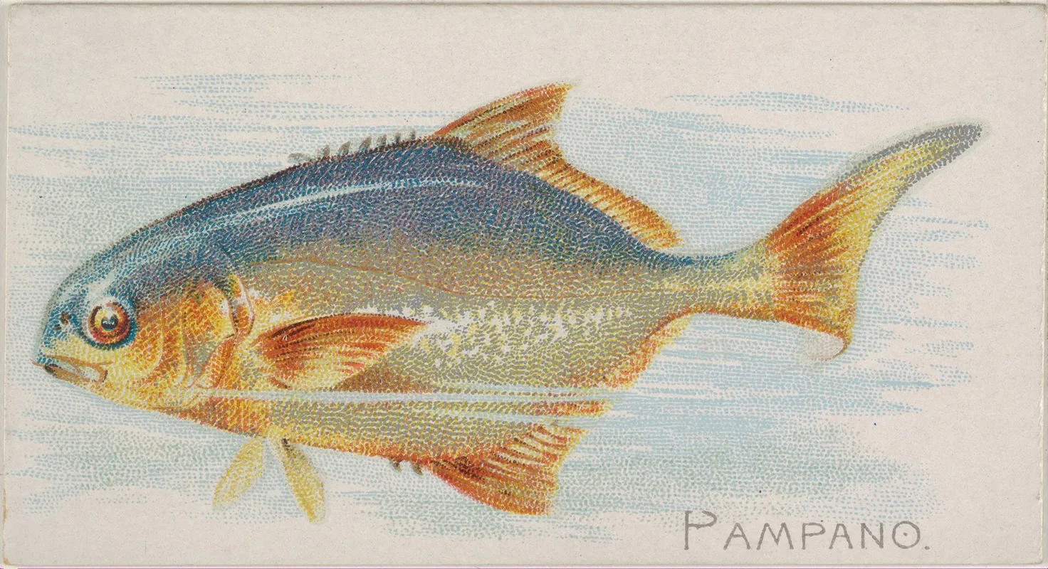 Pampano Wall Art by Allen &amp; Ginter - High-Resolution Digital Print